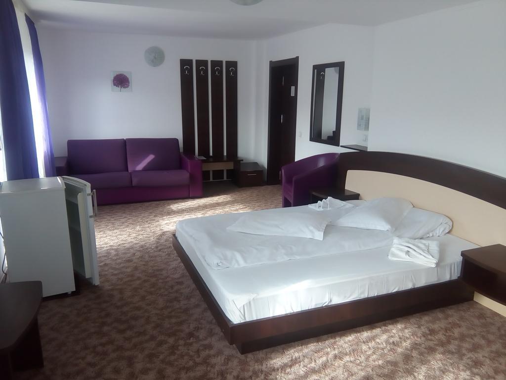Vila Alegria Busteni Room photo